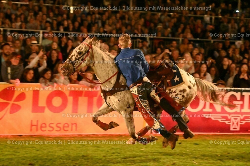20230526_Pferdenacht_1191 | equistock