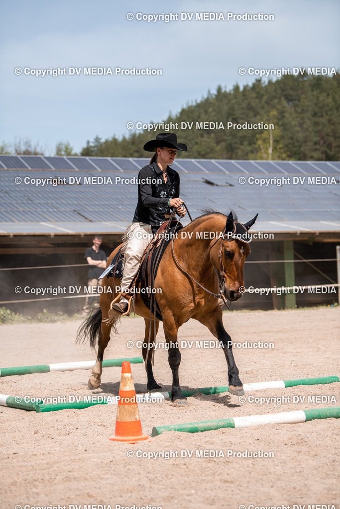 Balingen Tag 4-629 | dv-media-shop - Realisiert mit Pictrs.com