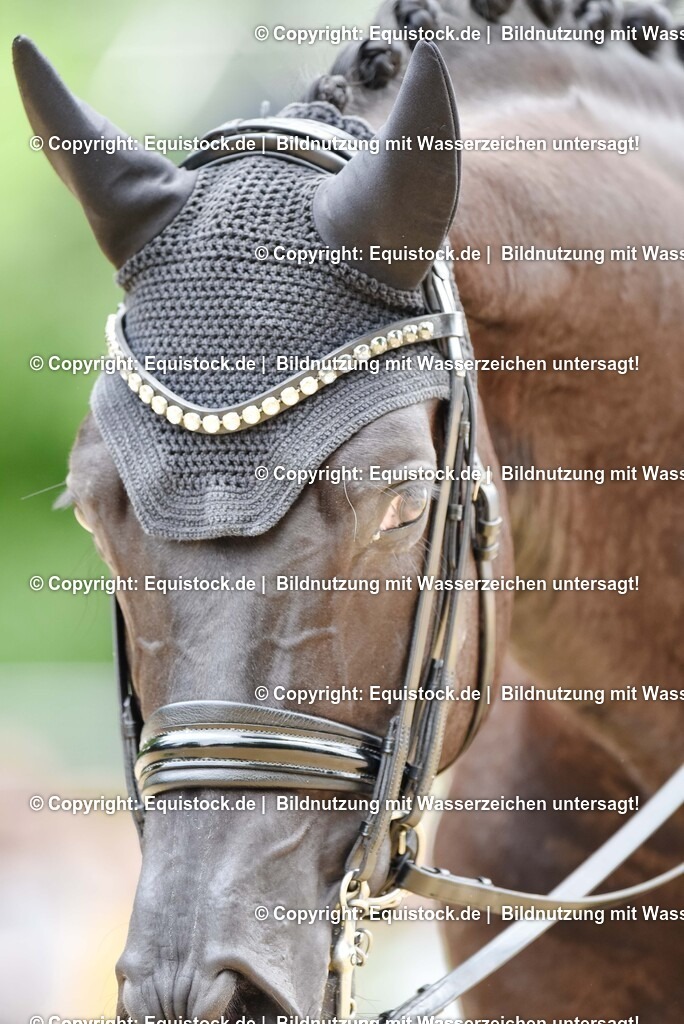 20250608_03_GP-Special-Tour_0591 | Foto: Thomas Hartig