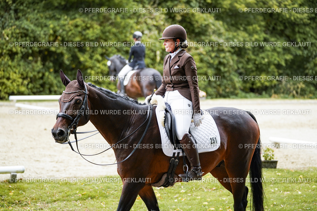 DSC01133 | Pferdegrafie