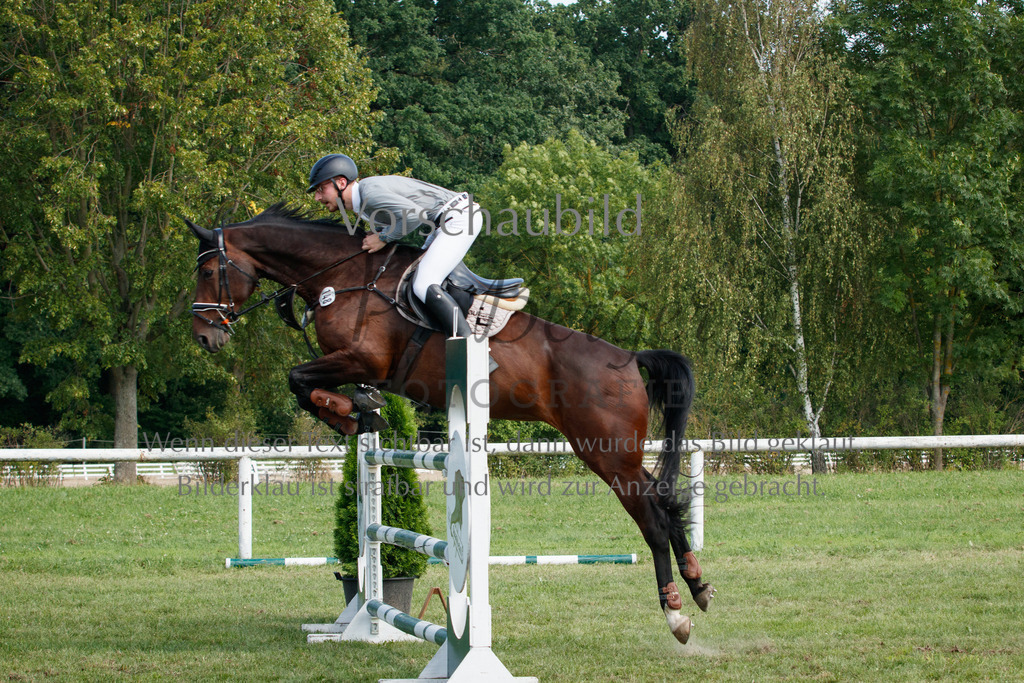 IMG_3702 | P. Berger Fotografie - Realisiert mit Pictrs.com