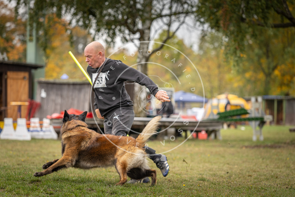 Pfotenfotografie_DV3A6070 | Hundefotografie, Tierfotograf, Pfotenfotografie, Fotoshooting Hund, Hunde Portrait, Hundesport, Hundeportraits, Heideshooting, Hunde, Sportfotograf, Hundefotograf, Turnierhundsport, THS,  - Realisiert mit Pictrs.com