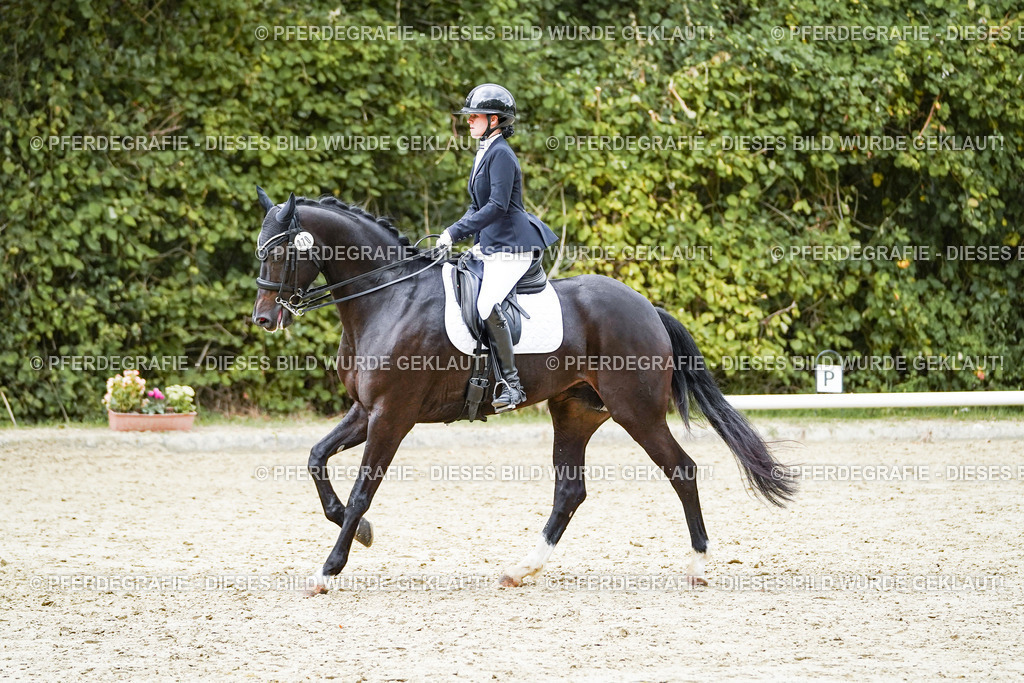 DSC06983 | Pferdegrafie