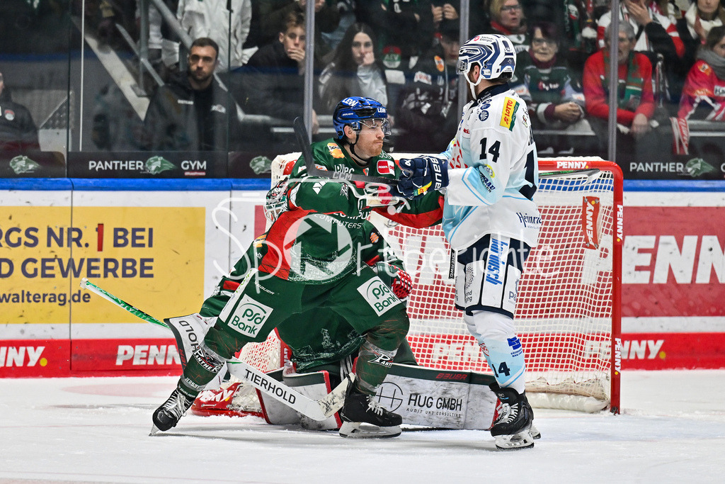 Augsburger Panther - Dresdner Eislöwen | AUGSBURG, GERMANY - 04. DECEMBER: im Duell  Kyle MAYHEW (Augsburger Panther 27) und Rourke CHARTIER (Dresdner Eislöwen 14) vor Michael GARTEIG (Augsburger Panther 34 während dem Match zwischen den Augsburger Panthern und den Dresdner Eislöwen am 25 Spieltag der PENNY DEL im Curt Frenzel Stadion