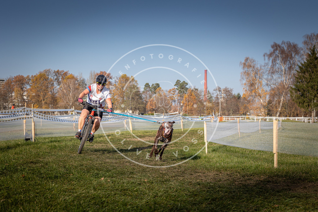 CaniXpix_0L8A7115 | Hundefotografie, Tierfotograf, Pfotenfotografie, Fotoshooting Hund, Hunde Portrait, Hundesport, Hundeportraits, Heideshooting, Hunde, Sportfotograf, Hundefotograf, Turnierhundsport, THS,  - Realisiert mit Pictrs.com