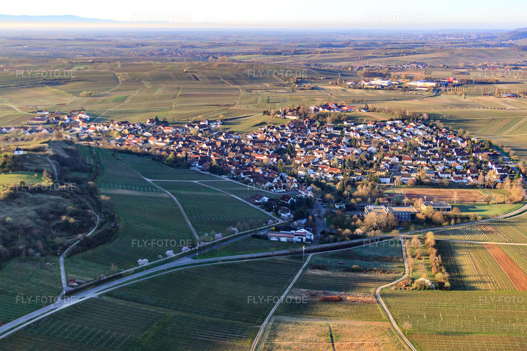 Luftbild: Winzerdorf im Morgenlicht aus Norden in Ilbesheim bei Landau im Bundesland Rheinland-Pfalz in Deutschland.Foto: IMG_63147.jpg vom 20.03.2014 durch Werner Riehm/FLY-FOTO.deAuflösung des Originals: 4752 x 3168 px