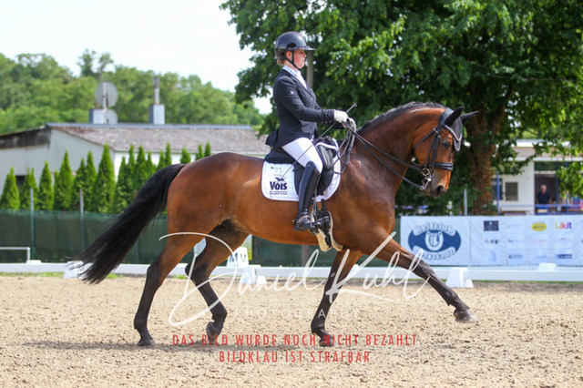 DKP41005 | Turniersportfotografie; Pferdefotografie; Dressurfotografie