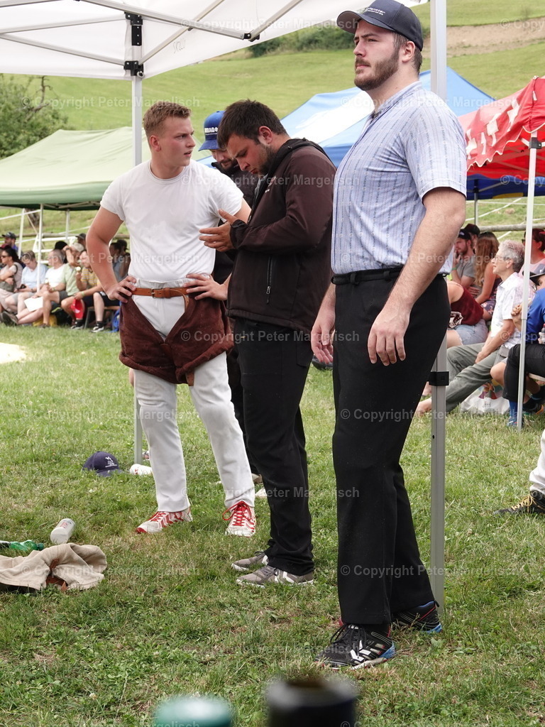 DSC05138 | Schwingen - Realisiert mit Pictrs.com