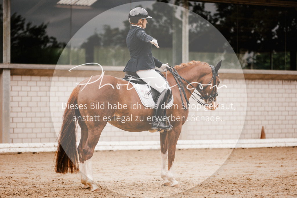 3I6A7778 | Stimmungsvolle Portraits und Reitsportfotografie im Ruhrgebiet und im Münsterland.

Pferdefotografie, Hundefotografie, Tierfotografie, Reportagen, Portraits von Tier und Mensch, Turnierfotografie in Bochum, Recklinghausen, Marl, Haltern am See, Dülmen.. - Realisiert mit Pictrs.com