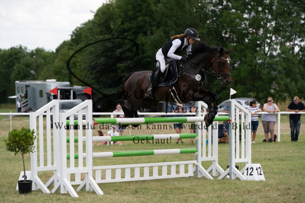 A7V02460 | Pferdefotograf