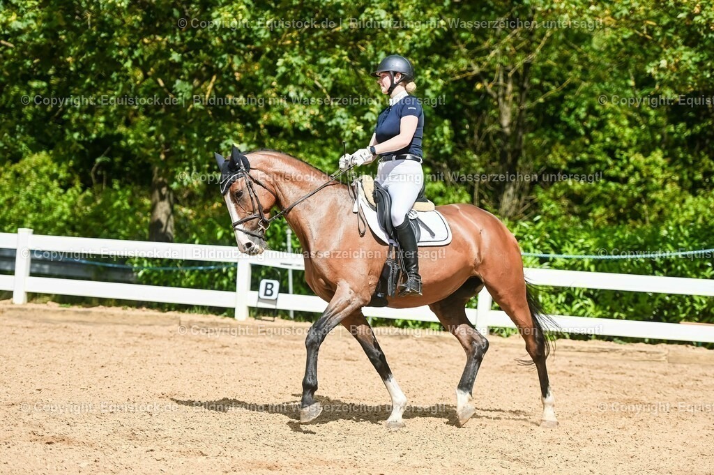 20230715_02_Dressurreiterprüfung Kl.L_0329 | equistock