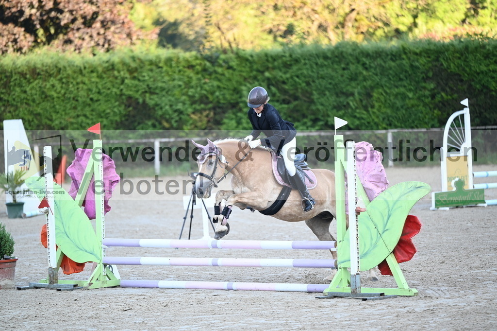 DSC_7763 | equestrian-live-com