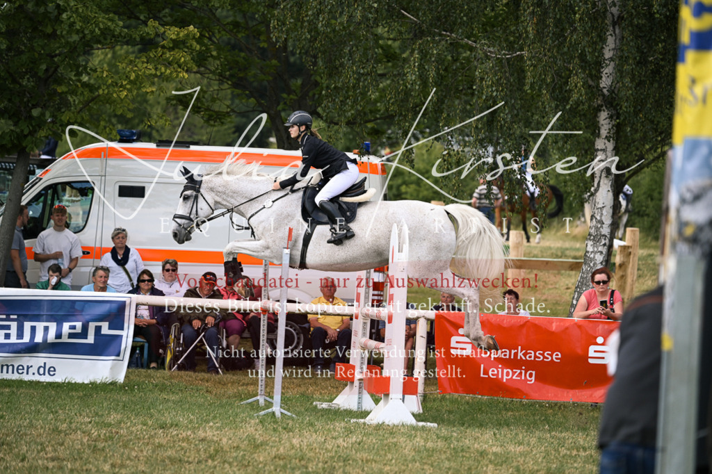 DSC_0965 | Pferde- und Turnierfotografie in Westsachsen. Pferdeportraits, Auftragszeichnungen und intuitive Kunst.