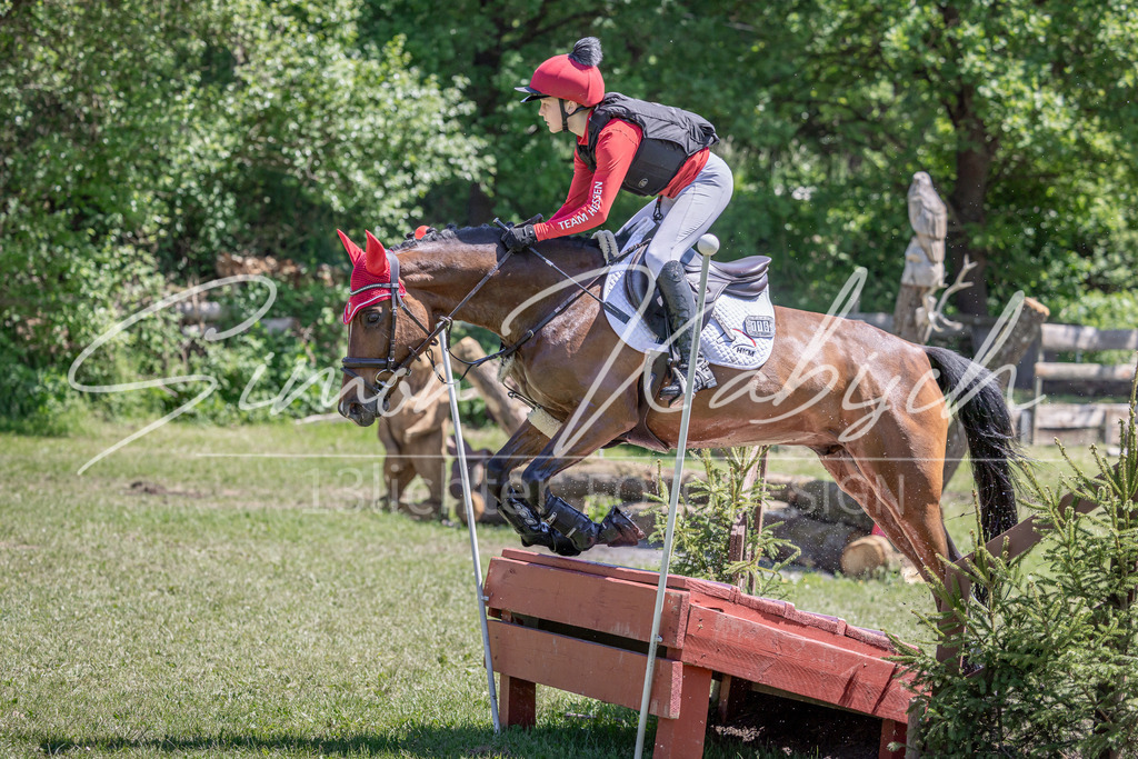 20260523-_3LI8902 | Tierfotografie Pferde, Hunde, Katzen, Haustiere.
Turnierfotografie Reitturniere, Reiten, Springreiten, Dressur in Hanau, dem Main-Kinzig-Kreis und dem Rhein-Main- Gebiet um Frankfurt