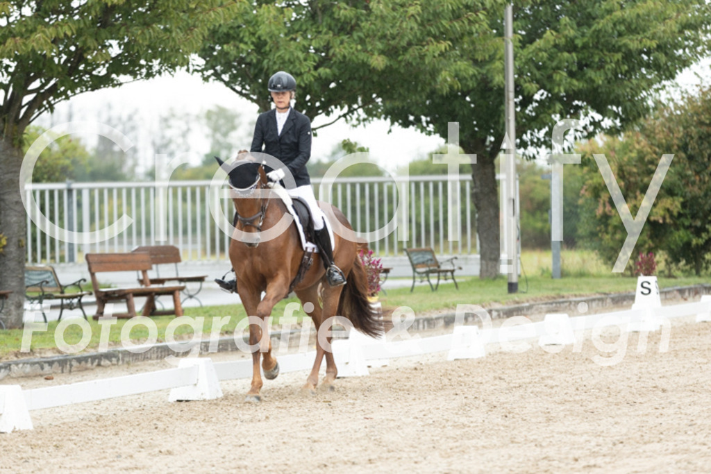 IMG_4541 | Creatify Fotografie