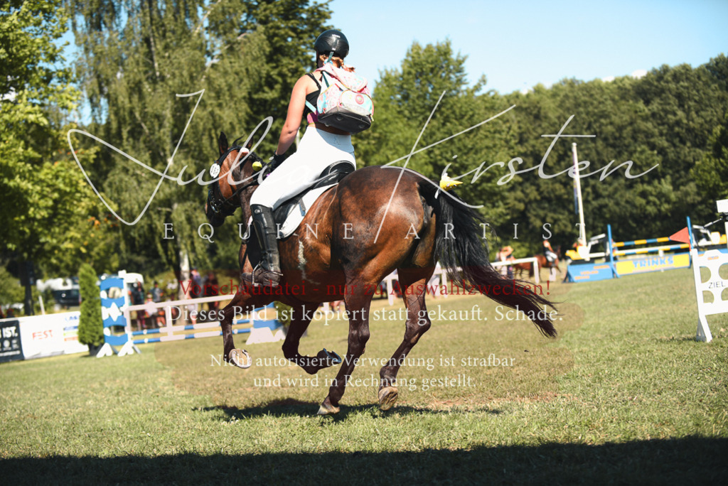 DSC_7432 | Pferde- und Turnierfotografie in Westsachsen. Pferdeportraits, Auftragszeichnungen und intuitive Kunst.