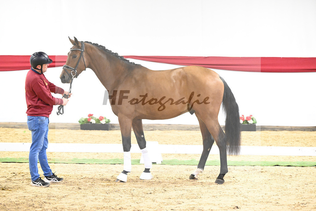 Kat-Nr. 15 v. Fuerst Samarant_Dalsem_63220667 | hf-fotografie - Realizzato con Pictrs.com