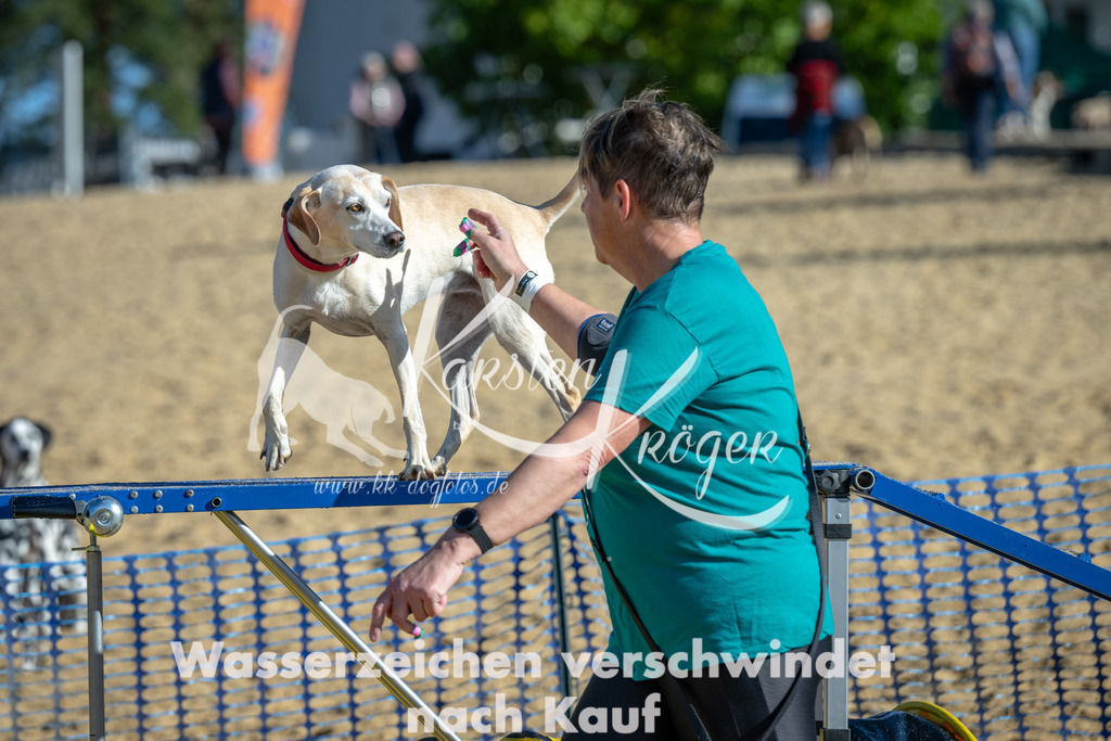 1118_ZZ90967 | kk-dogfotos
