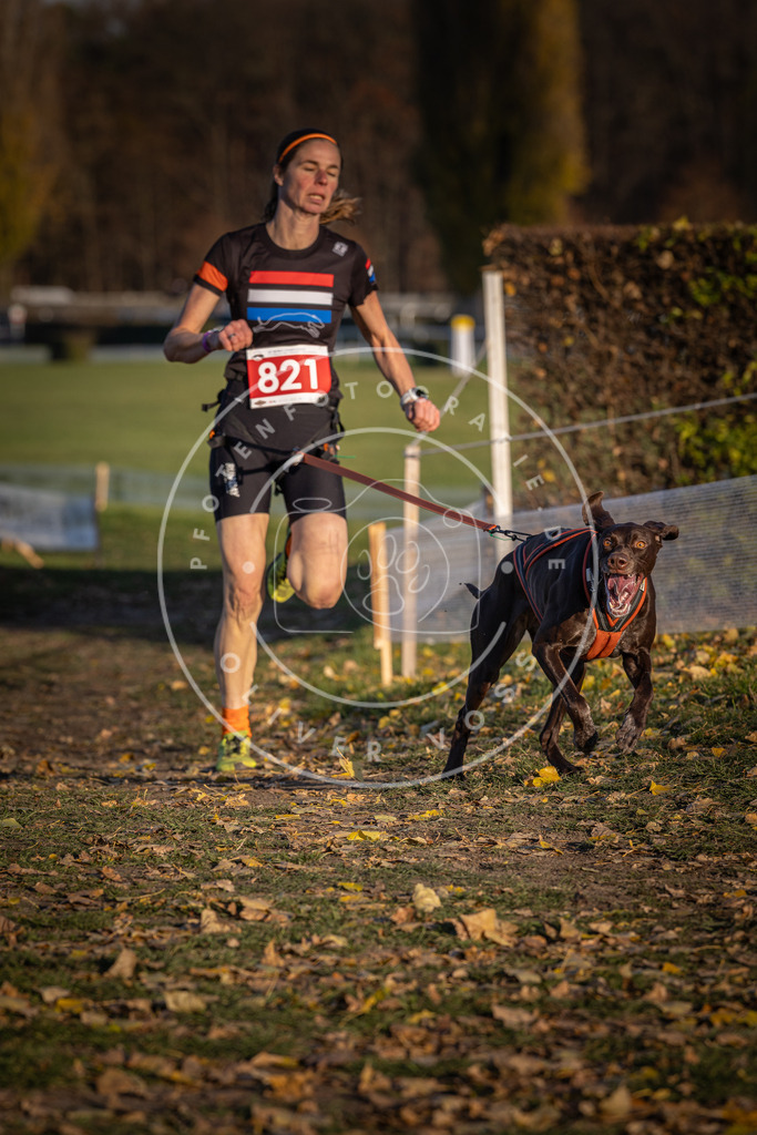 CaniXpix_DV3A3278 | Hundefotografie, Tierfotograf, Pfotenfotografie, Fotoshooting Hund, Hunde Portrait, Hundesport, Hundeportraits, Heideshooting, Hunde, Sportfotograf, Hundefotograf, Turnierhundsport, THS,  - Realisiert mit Pictrs.com