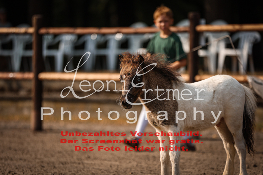 1.Fr00028 | Leoni Ertmer Photography - Realisiert mit Pictrs.com