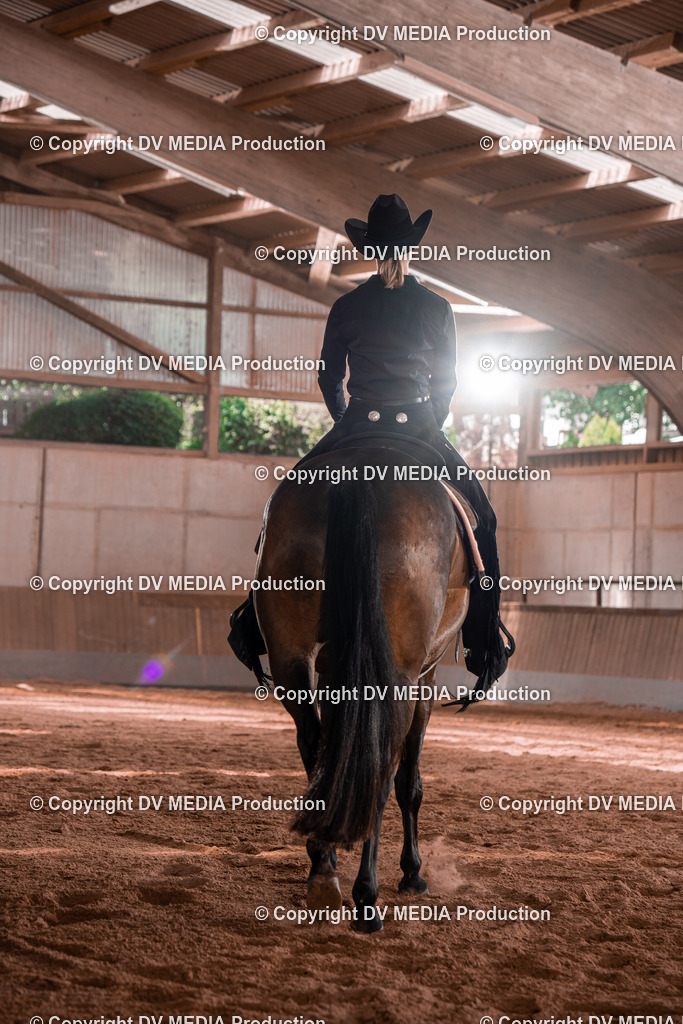 NE100405 | dv-media-shop - Realisiert mit Pictrs.com