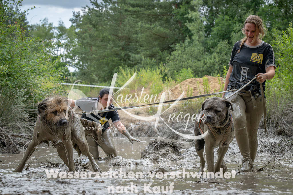 1451_ZZ90884-Verbessert-RR | kk-dogfotos