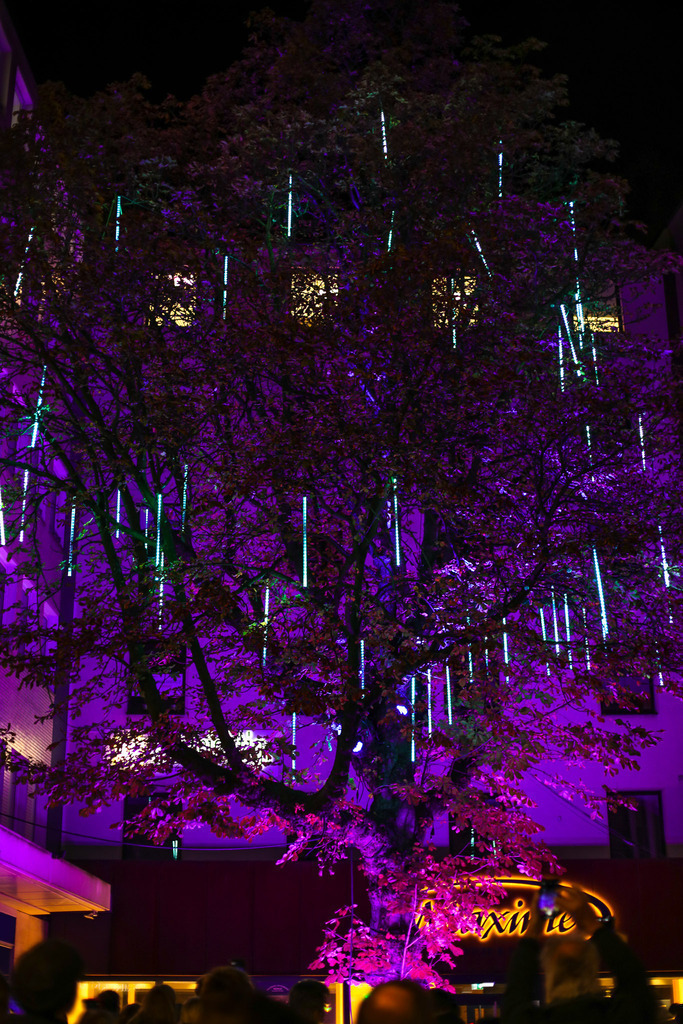 10 Baum der Wünsche_001 | Bildergalerie von Sport-Ereignissen aber auch von weiteren spannenden Dingen - nicht nur vom Niederrhein. In Anlehnung an den bekannten Spruch von Hanns Dieter Hüsch heißt das Motto: "Niederrhein ist überall".  - Realisiert mit Pictrs.com