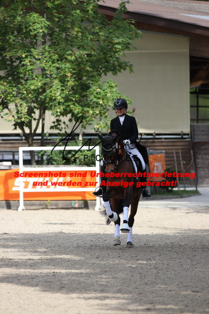 IMG_1339 | lmwpictures - Realisiert mit Pictrs.com