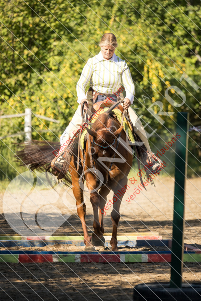 IMG_7073 | Sport-, Event- und Tierfotos in Profiqualität. Einfach auswählen, bestellen und herunterladen. Dein Moment – perfekt festgehalten.
