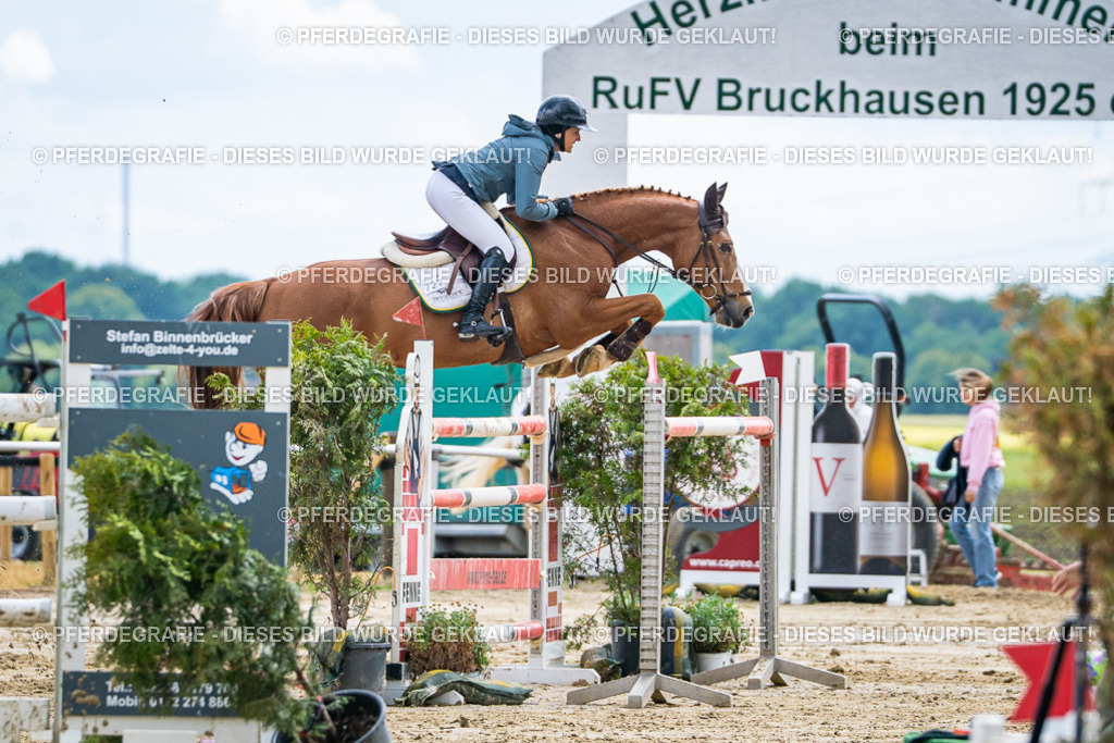 DSC05891 | Pferdegrafie