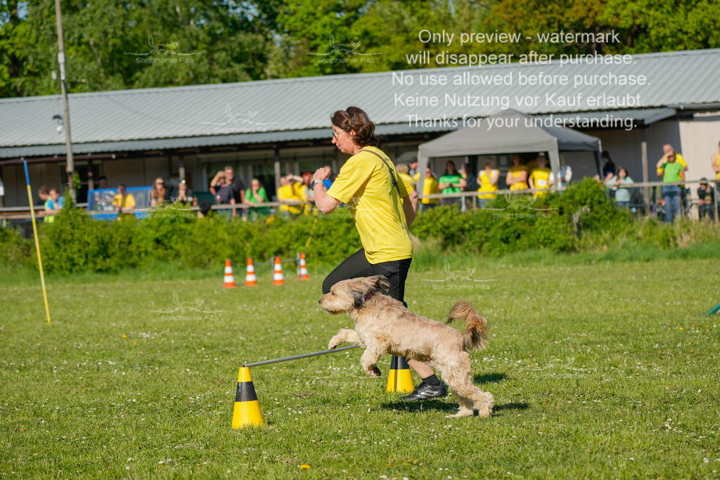 Sa_CSC-191 | stephaniefillaphotographie - Realisiert mit Pictrs.com