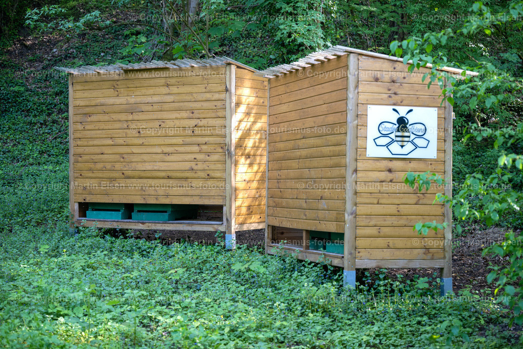 Agathenburg Schloss_ELS_2568130523 | Agathenburger Schloss - Realisiert mit Pictrs.com