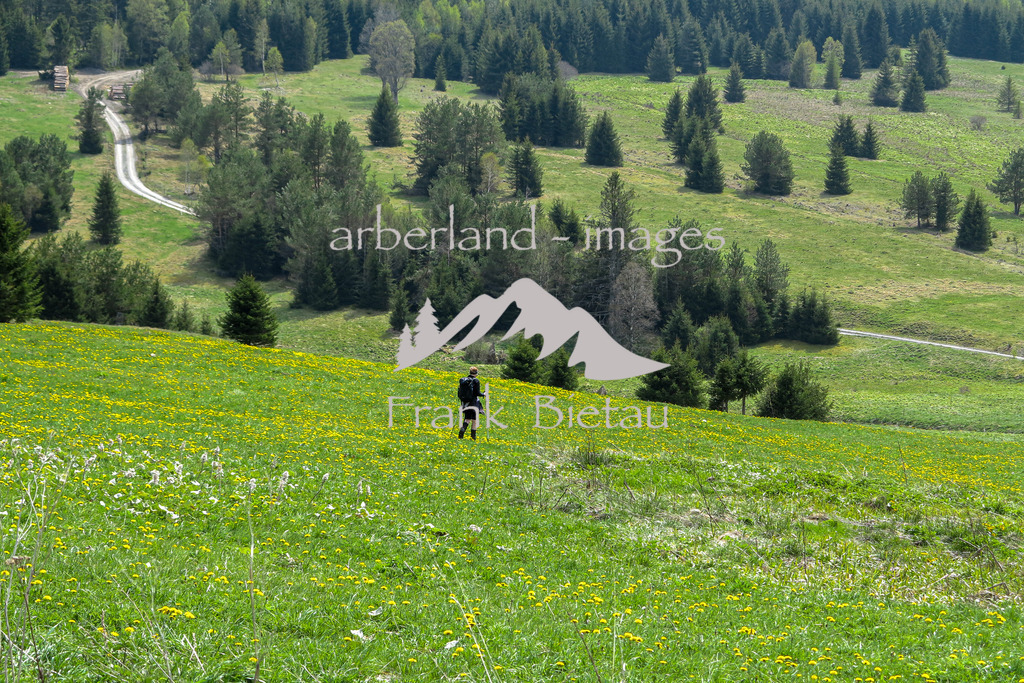 IMG_2033 | Ortsbeschreibung :  https://www.bayern-böhmen.de/gabreta/fr.asp?tab=gabreta&amp;id=1186&amp;burl=&amp;pt=TTPR&amp;lng=de