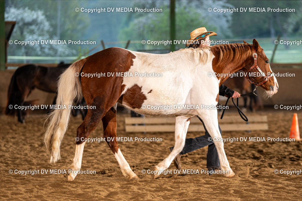 Balingen Tag 1-109 | dv-media-shop - Realisiert mit Pictrs.com