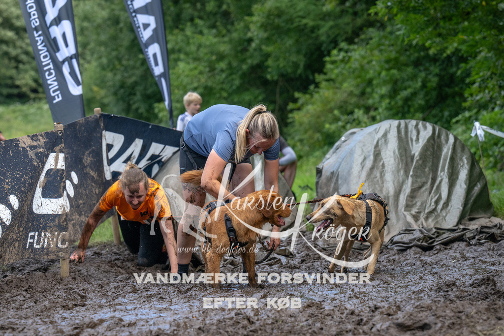 1624_ZZ93108 | kk-dogfotos