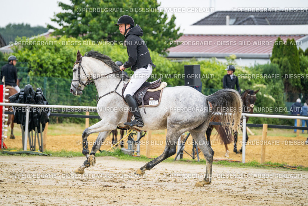 DSC00510 | Pferdegrafie