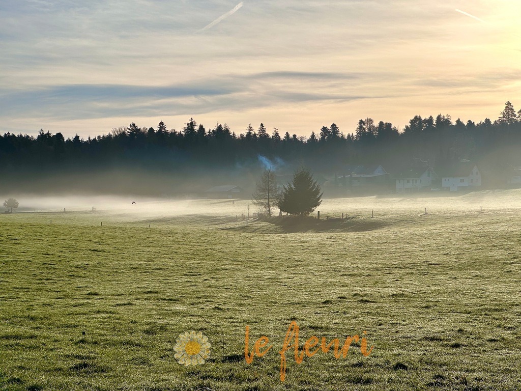 IMG_7182 | Dies ist der Shop von Florian Blum - le fleuri. Langenthal, Bern, SchweizSie können hier meine oder ihre eigenen Fotos als Fotoprodukte kaufen. Tassen, Schlüsselanhänger, Taschen etc. können Sie hier gestalten.  - Realisiert mit Pictrs.com