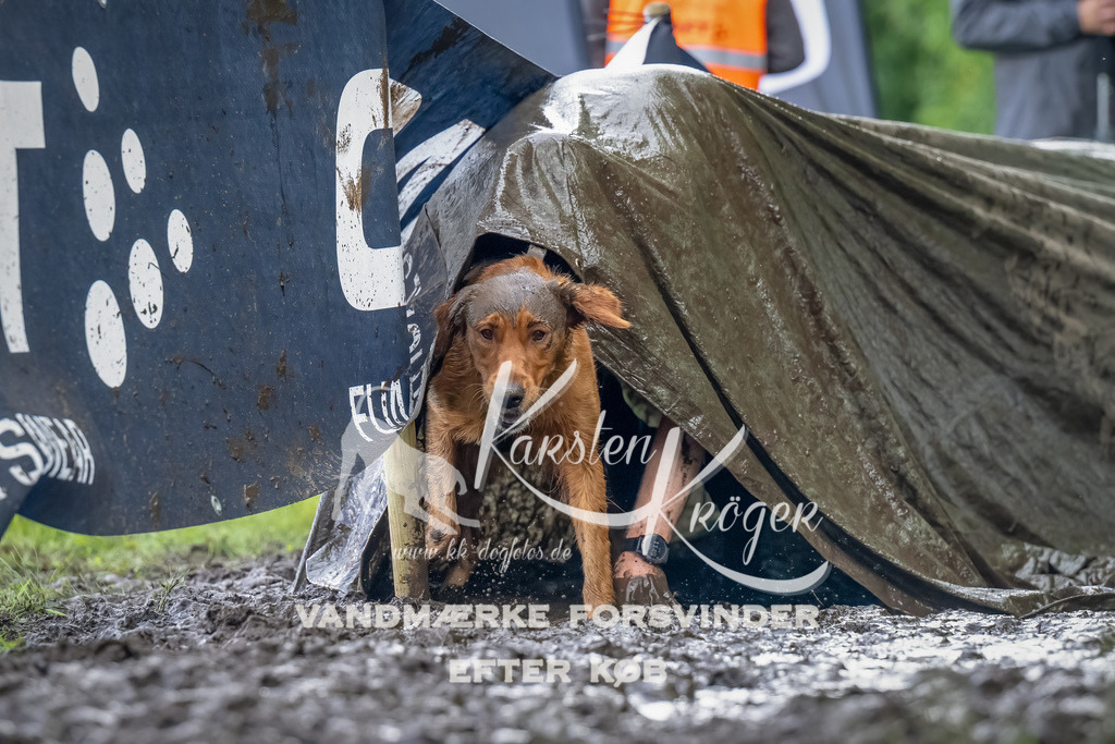 1150_ZZ94484-Bearbeitet | kk-dogfotos