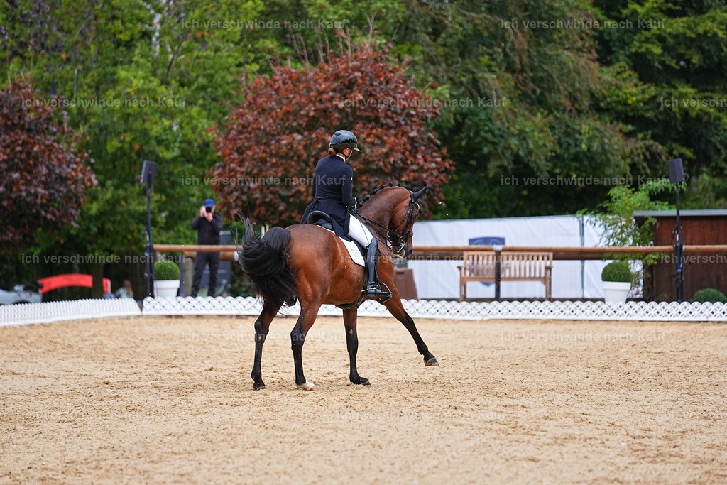 8_1-100-Klasse S_  -Marixx-4211 | working equitationturnier fotograf videograf stoibphotography marixx film working equitation deutschland reitsport turnierfotografie eventfotografie equestrian events