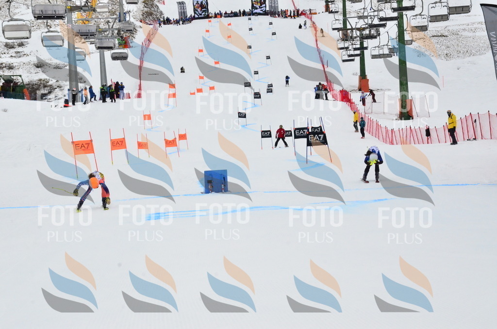 _ELE3611 | holidayphoto