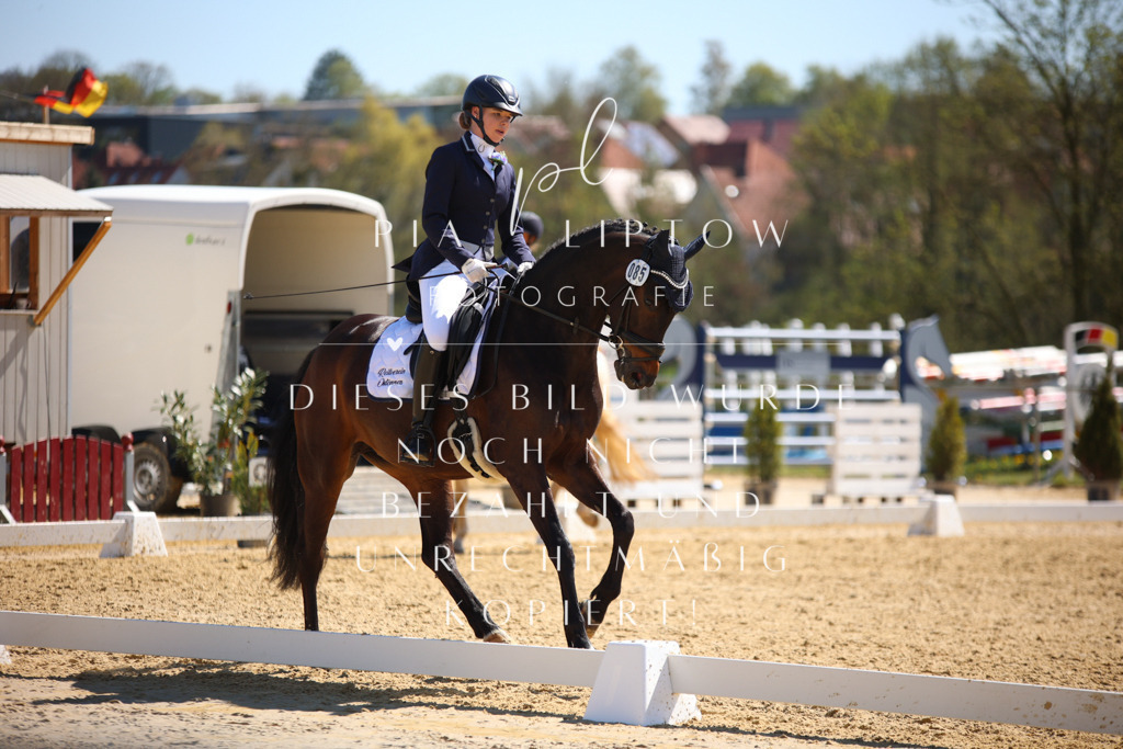 IMGT1298 | pl-fotografie