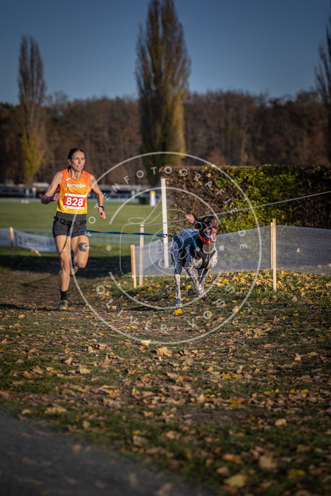 CaniXpix_DV3A3392 | Hundefotografie, Tierfotograf, Pfotenfotografie, Fotoshooting Hund, Hunde Portrait, Hundesport, Hundeportraits, Heideshooting, Hunde, Sportfotograf, Hundefotograf, Turnierhundsport, THS,  - Realisiert mit Pictrs.com