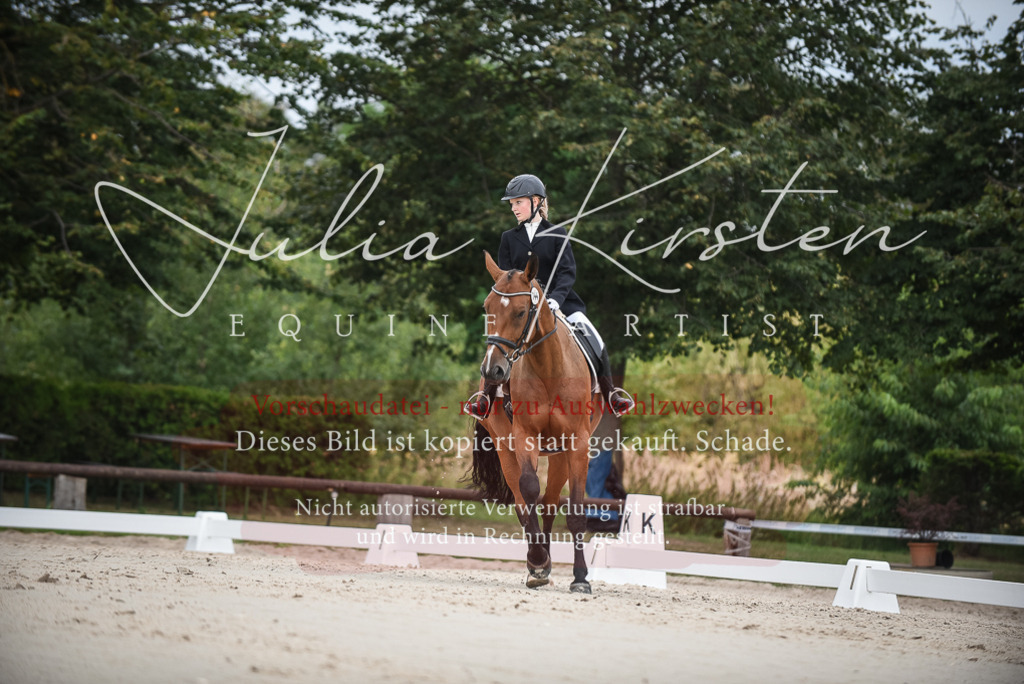 DSC_8012 | Pferde- und Turnierfotografie in Westsachsen. Pferdeportraits, Auftragszeichnungen und intuitive Kunst.