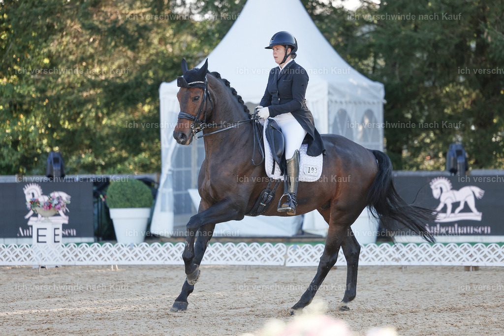 09_1-193-DRESSUR  S_  -StoibPH-5484 | working equitationturnier fotograf videograf stoibphotography marixx film working equitation deutschland reitsport turnierfotografie eventfotografie equestrian events