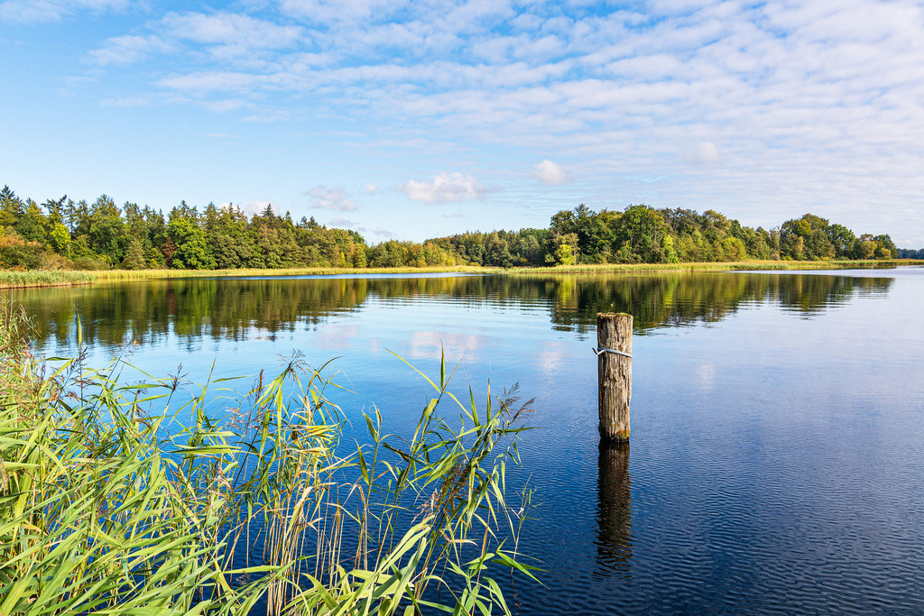 Landschaft am Krakower See in der Stadt Krakau am See | Landschaft am Krakower See in der Stadt Krakau am See.