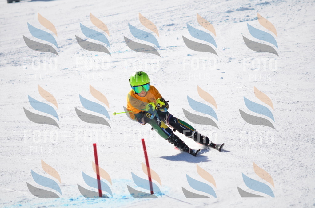 C9674 | holidayphoto