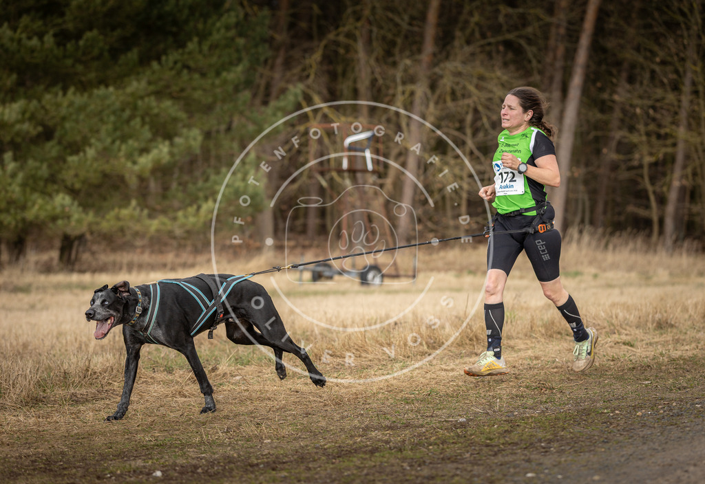 DV3A5404 | Hundefotografie, Tierfotograf, Pfotenfotografie, Fotoshooting Hund, Hunde Portrait, Hundesport, Hundeportraits, Heideshooting, Hunde, Sportfotograf, Hundefotograf, Turnierhundsport, THS,  - Realisiert mit Pictrs.com