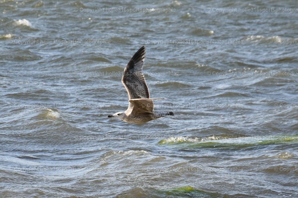 DSC_0026 (2) | Sportfotografie , Motorsport, Motoross, Reitsport, Mointainbike, Enduro,
Landschaft , Outdoor, Eventfotografie, Landschaft, Bilder online bestellen - Realisiert mit Pictrs.com