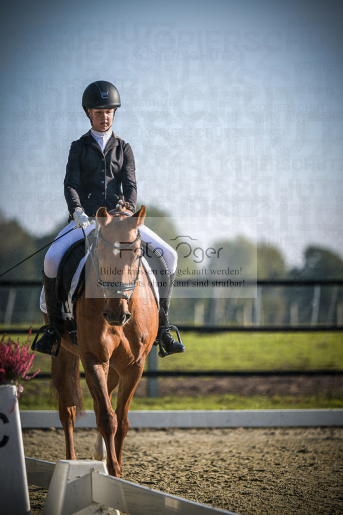 DOS_0901 | Entdecke hochwertige Reitturnierfotos von Foto Oger. Professionell, emotional und authentisch – jetzt Lieblingsmomente im Shop bestellen.Deutschlandweite Turnierfotografie. - Realisiert mit Pictrs.com