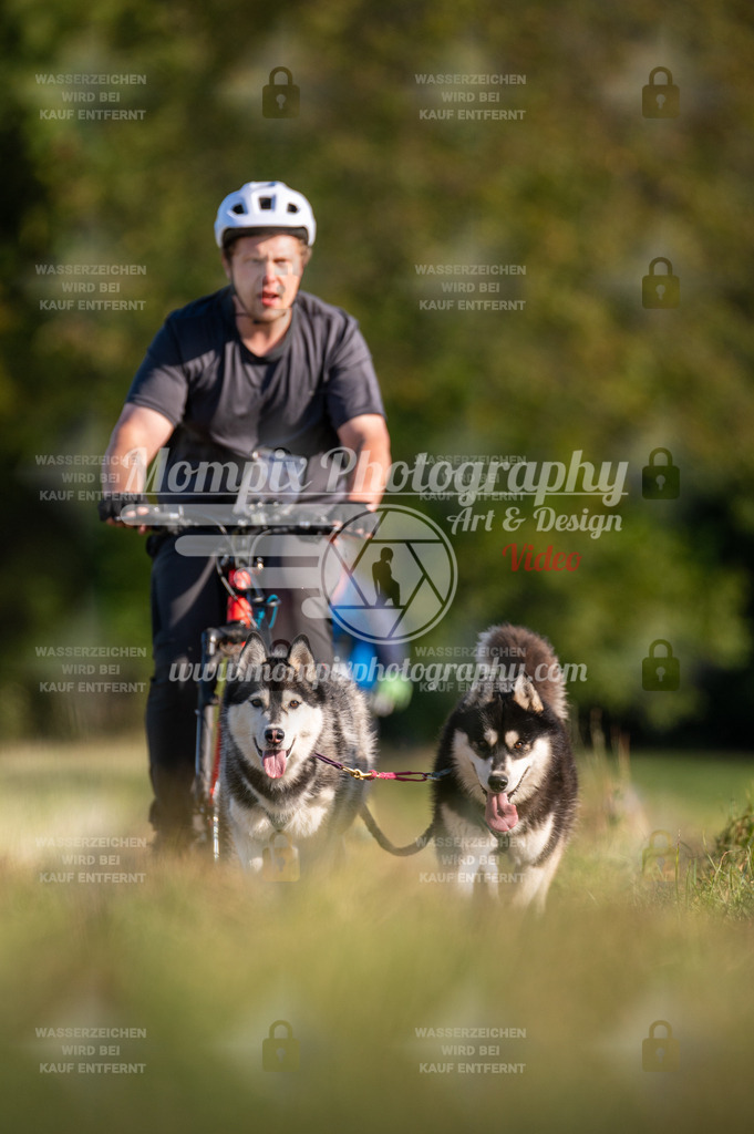 CDLBDB_15_10_2023_Dimanche-362 | mompixphotography